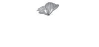 WFBT_White_Butterfly-200×96
